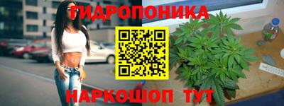 прущие грибы Камышлов