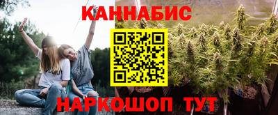 прущие грибы Камышлов