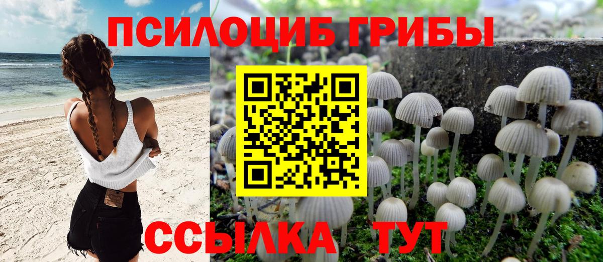 наркота  Псилоцибиновые грибы MAGIC MUSHROOMS  Вход с VPN  Кропоткин 