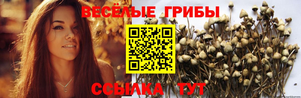APVP Кропоткин
